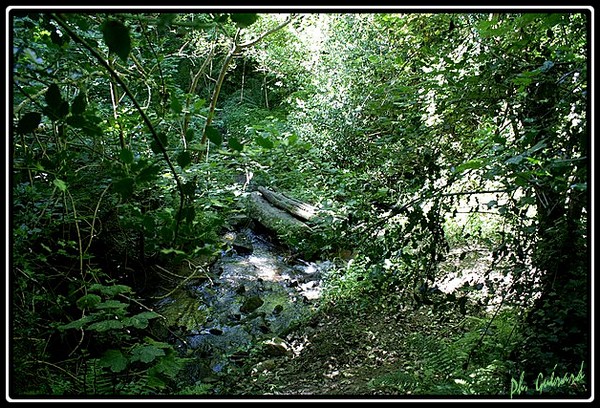 petit pont sur la Sabine
