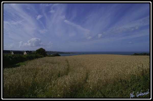 vue au dessus des bles