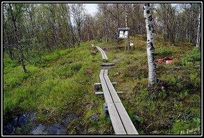 Balade Ã  Abisko (SuÃ¨de)
Keywords: abisko;suÃ¨de