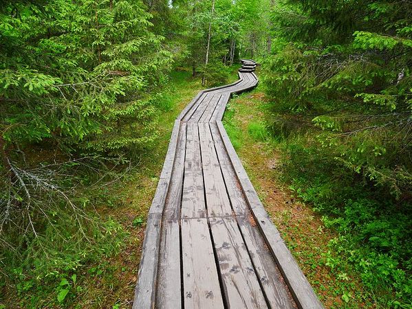 Koitelinkoski
Keywords: Koitelinkoski;Finlande