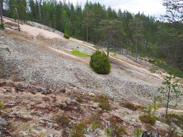 Parc National de Rokua
Keywords: Rokua;Finlande