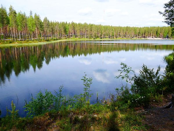 Parc National de Rokua
Keywords: Rokua;Finlande