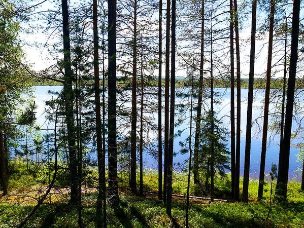 Long route 20 Finlande
Keywords: Finlande