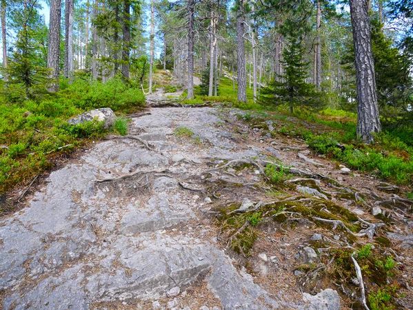 Ruka
Keywords: Ruka;Finlande