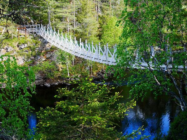 Parc National d'Oulanga
Keywords: Oulanga;Finlande