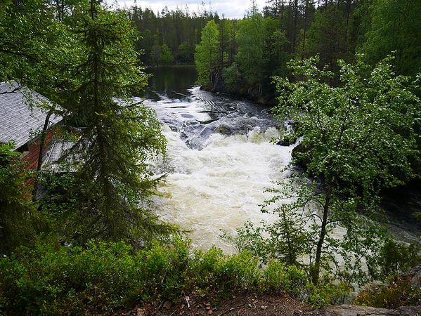 Parc National d'Oulanga
Keywords: Oulanga;Finlande