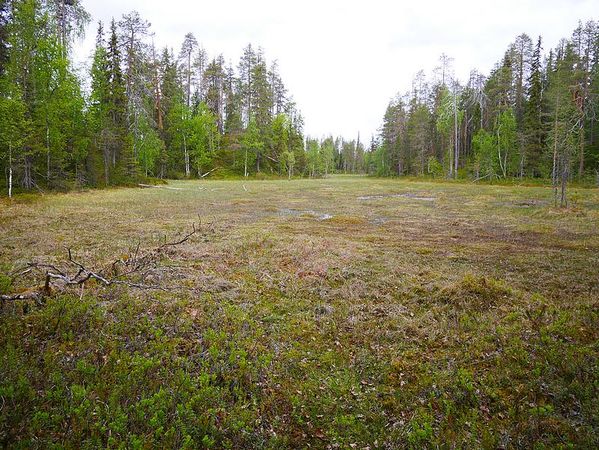 Parc National d'Oulanga
Keywords: Oulanga;Finlande