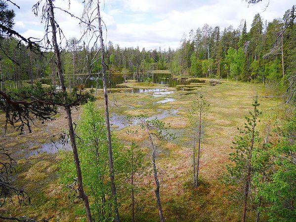 Parc National d'Oulanga
Keywords: Oulanga;Finlande