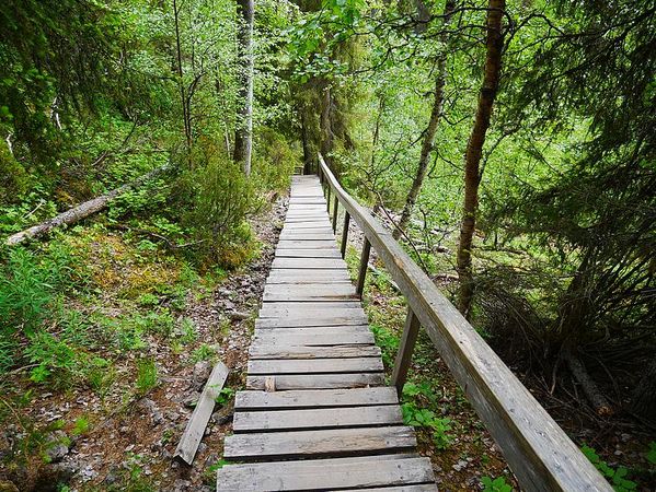 Parc National d'Oulanga
Keywords: Oulanga;Finlande