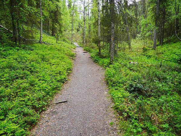 Parc National d'Oulanga
Keywords: Oulanga;Finlande