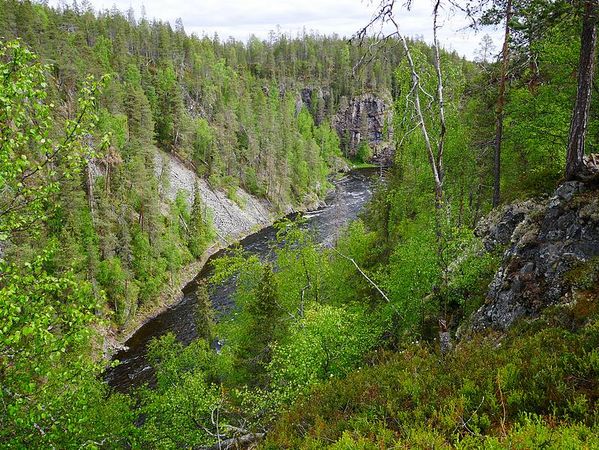 Parc National d'Oulanga
Keywords: Oulanga;Finlande