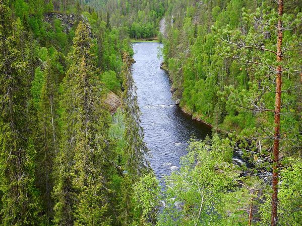 Parc National d'Oulanga
Keywords: Oulanga;Finlande