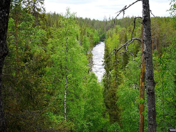 Parc National d'Oulanga
Keywords: Oulanga;Finlande