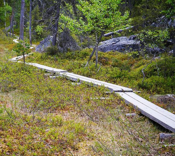 Ruka
Keywords: Ruka;Finlande