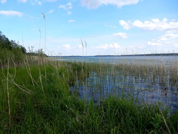 Nord de GÃ¤vle - SuÃ¨de
Keywords: GÃ¤vle;Suede