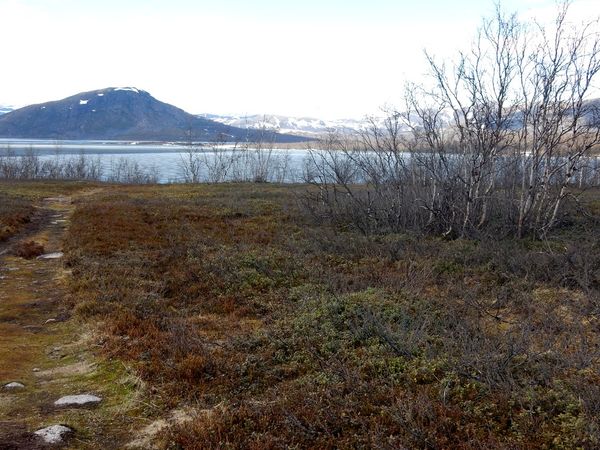 Long E10 entre Kiruna et frontiÃ¨re NorvÃ¨gienne
Keywords: Kiruna;SuÃ¨de