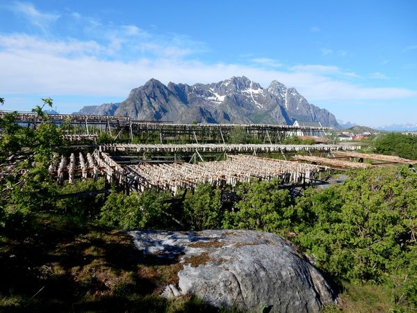 HenningsvÃ¦r - Lofoten - NorvÃ¨ge
Keywords: HenningsvÃ¦r;Lofoten;NorvÃ¨ge