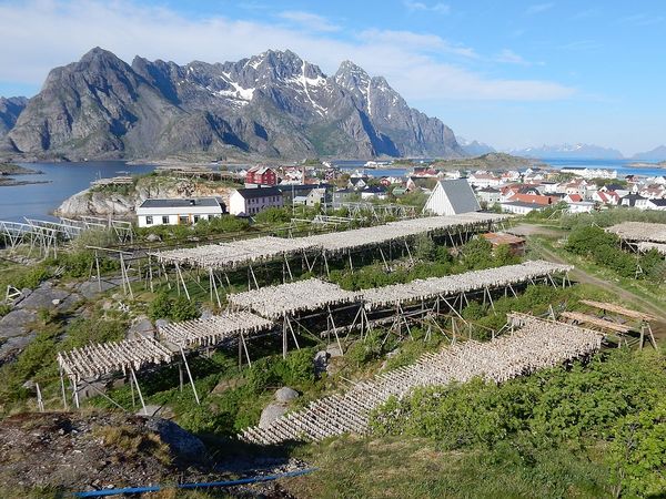 HenningsvÃ¦r - Lofoten - NorvÃ¨ge
Keywords: HenningsvÃ¦r;Lofoten;Norvege