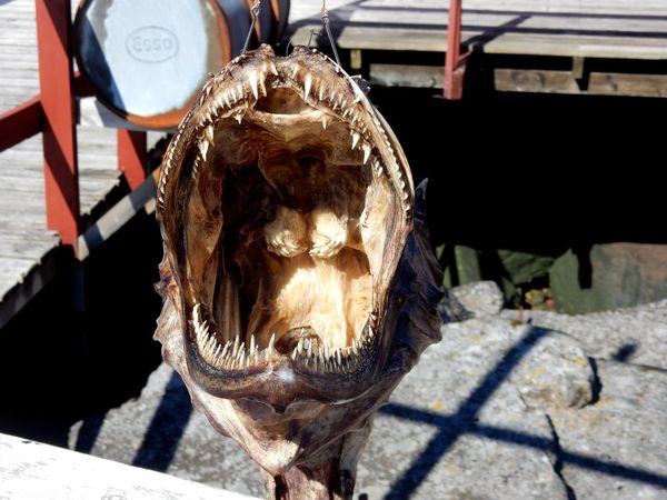 Nusfjord - Lofoten - Norvege
Keywords: Nusfjord;Lofoten;Norvege