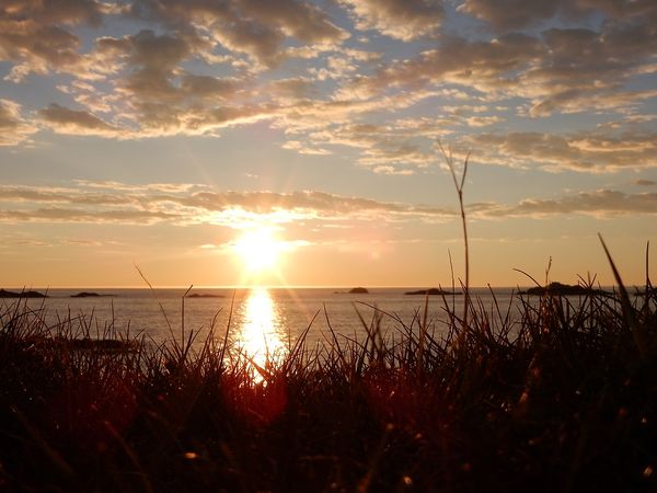 Sous le soleil de minuit - Hovden - Vesteralen - Norvege
Keywords: Hovden;Vesteralen;Norvege