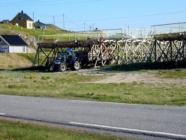 Hovden - Vesteralen - Norvege
Keywords: Hovden;Vesteralen;Norvege