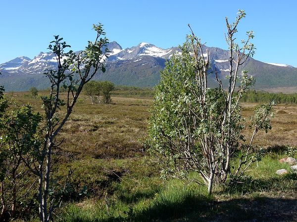 Fortfjorden - Vesteralen - Norvege
Keywords: Fortfjorden;Vesteralen;Norvege
