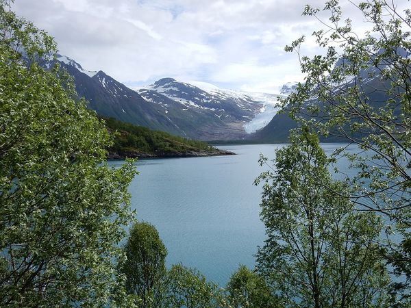 Glacier Svartisen - Rv 17 - Norvege
Keywords: Svartisen;Rv 17;Norvege