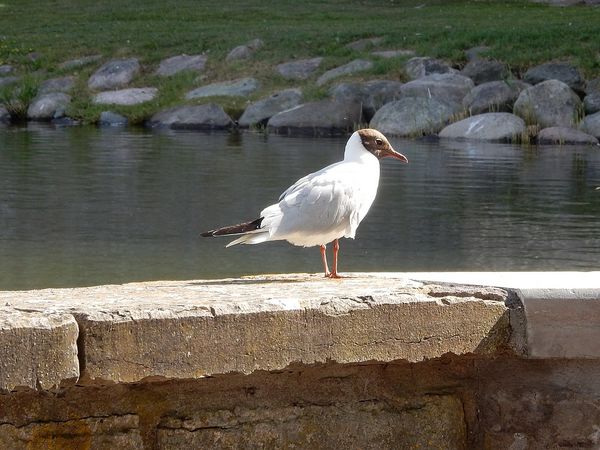 Kalmar - SuÃ¨de
Keywords: Kalmar;SuÃ¨de