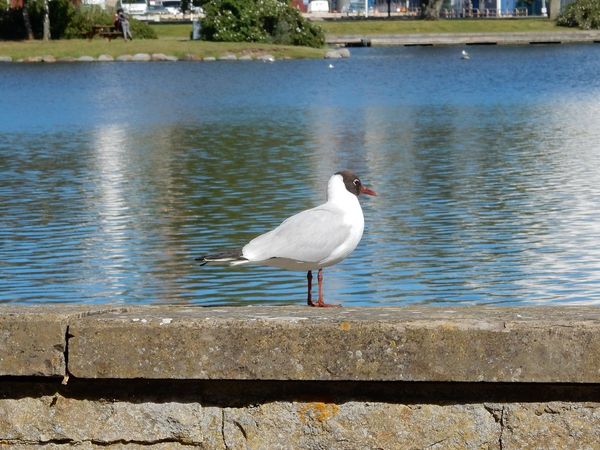 Kalmar - SuÃ¨de
Keywords: Kalmar;SuÃ¨de