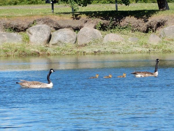 Kalmar - SuÃ¨de
Keywords: Kalmar;SuÃ¨de