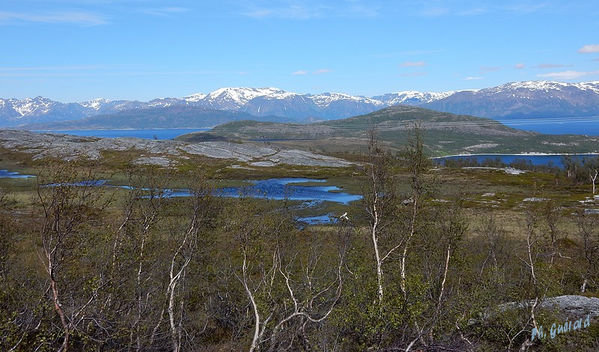 Paysage de la E6
Keywords: Scandinavie;Norvege;Laponie;E6