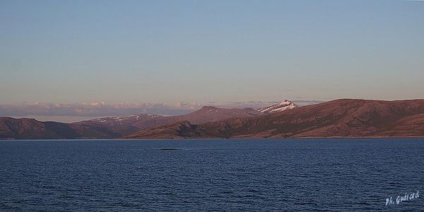 lumiÃ¨re du soir
Keywords: Norvege;Express Cotier