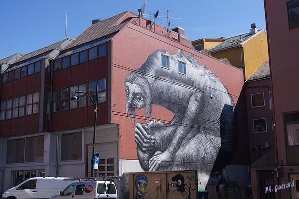 Bodo
Keywords: Norvege;Express Cotier;Bodo