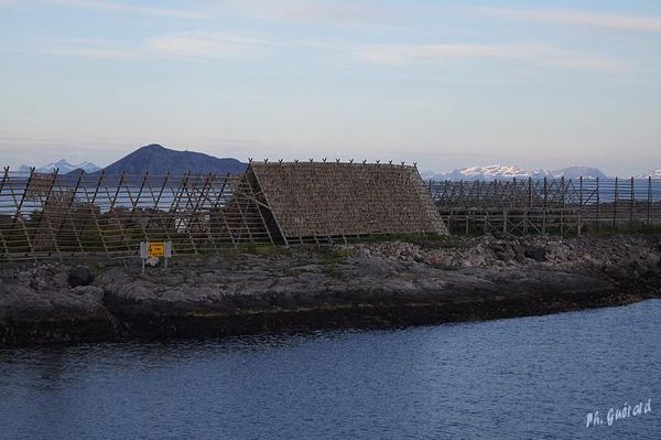 Svolvaer
Keywords: Norvege;Express Cotier;Svolvaer