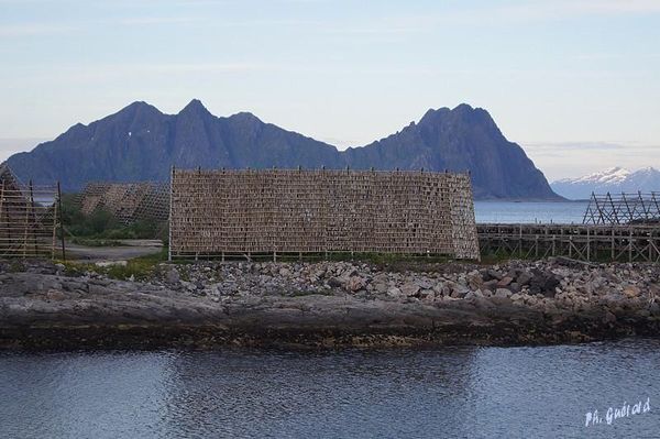 Svolvaer
Keywords: Norvege;Express Cotier;Svolvaer