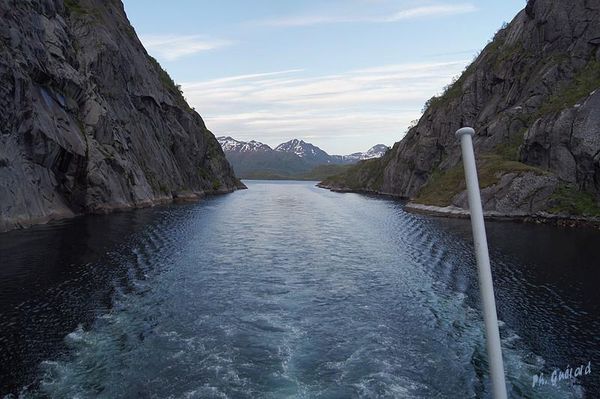Trollfjord
Keywords: Norvege;Express Cotier;Trollfjord