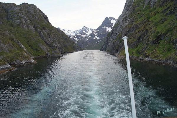 Trollfjord
Keywords: Norvege;Express Cotier;Trollfjord