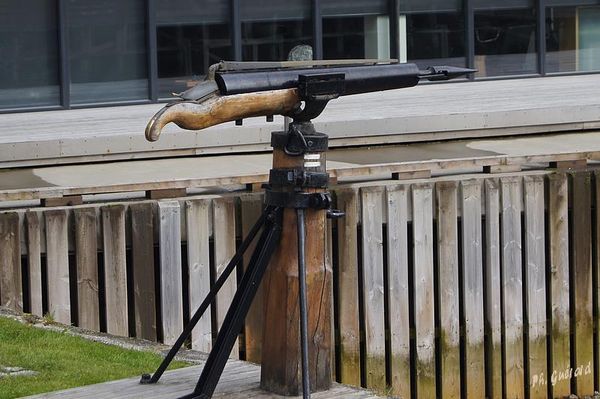 Tromso, musÃ©e polaire
Keywords: Norvege;Express Cotier;Tromso