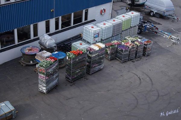 Hammerfest
Keywords: Norvege;Express Cotier;Hammerfest