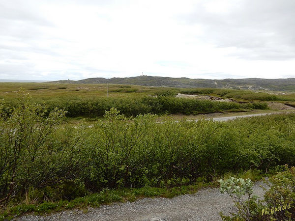 Vue vers la Russie Ã  Grense Jakobselv
Keywords: Scandinavie;Norvege;Laponie;Grense Jakobselv