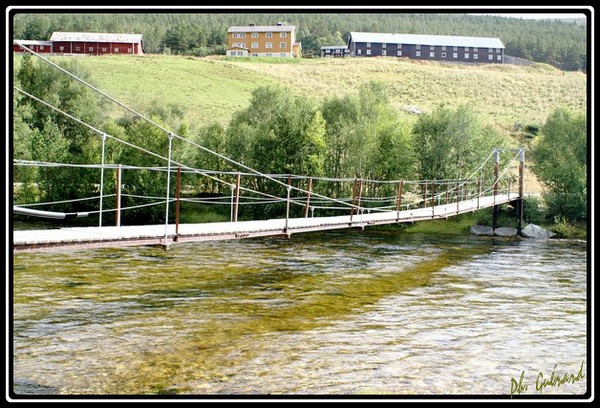 passerelle en bois