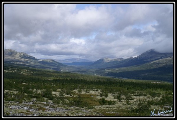 vue