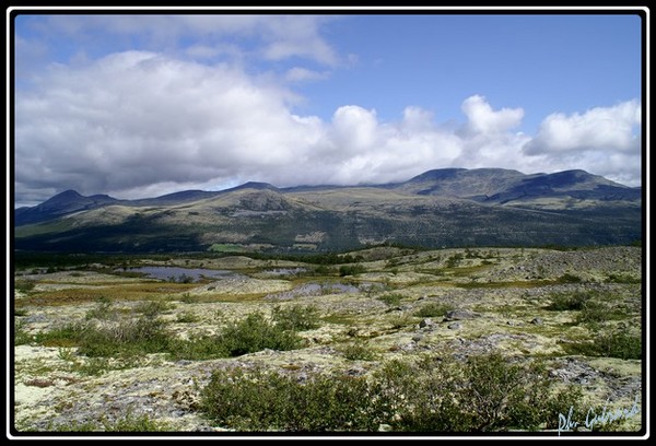vue1