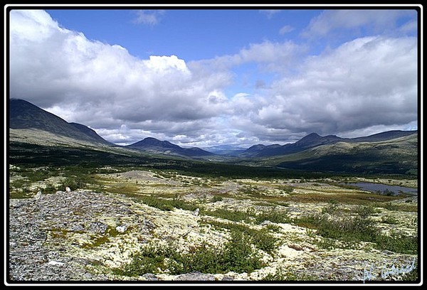 vue2